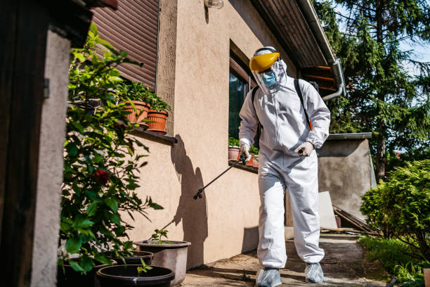 Best Cockroach Control Services  in East Lexington, VA