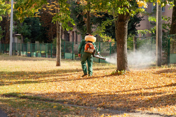Best Best Pest Control Companies  in East Lexington, VA