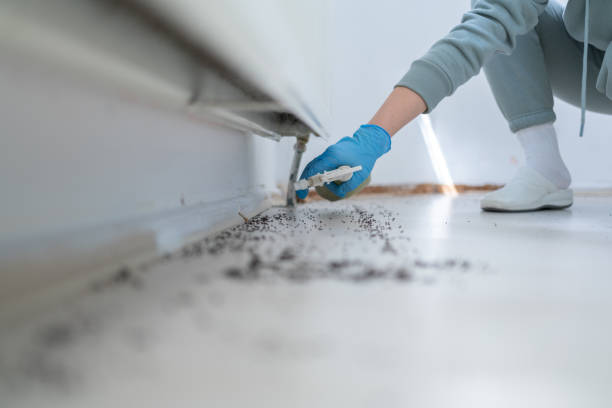 Best Best Pest Control Companies  in East Lexington, VA