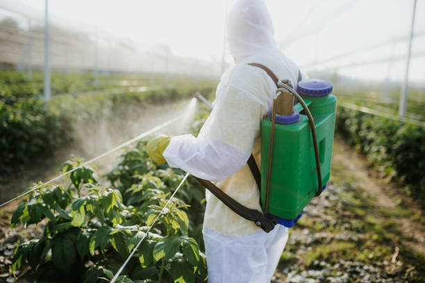 Reliable East Lexington, VA Pest Control Solutions